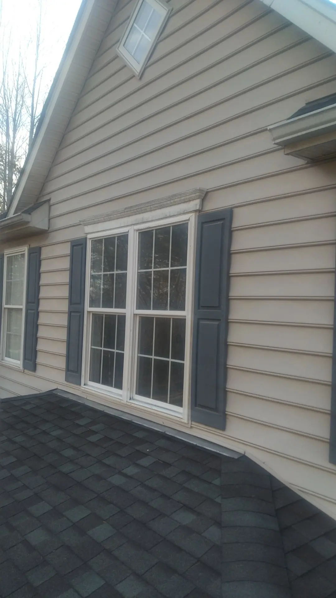 Window with dark shutters in beige siding above a dark shingle roof.