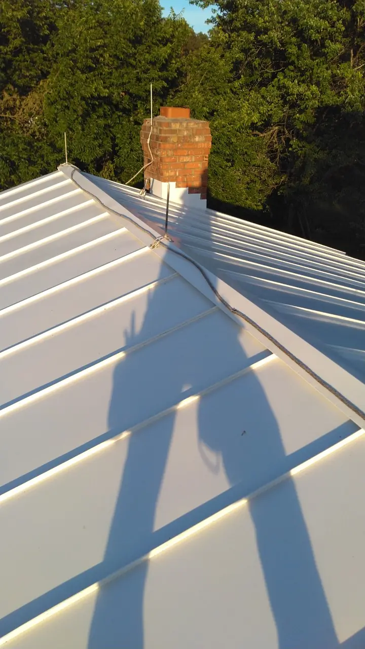 Light standing seam roof with a brick chimney and long shadows.