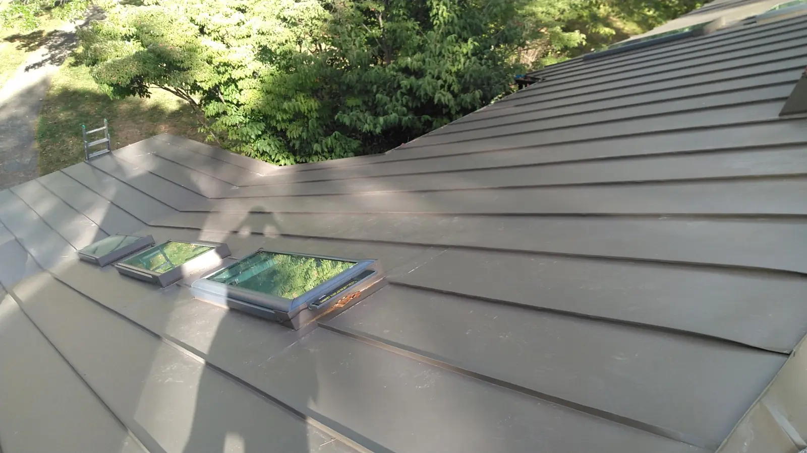Two skylights in medium bronze standing seam panels beside trees.